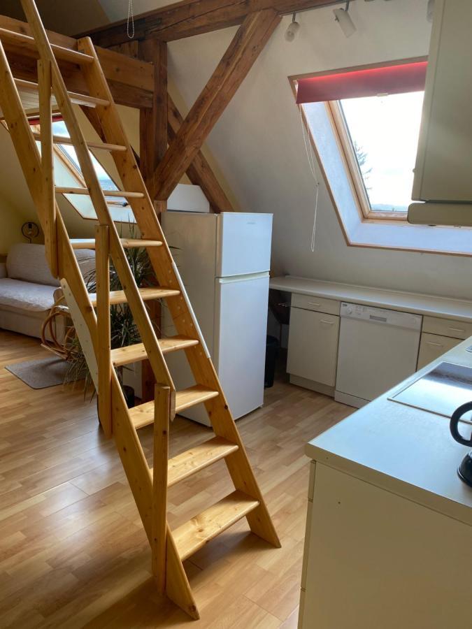 Helles Und Charmantes Loft Mit Herrlichem Blick Dresden Exterior foto