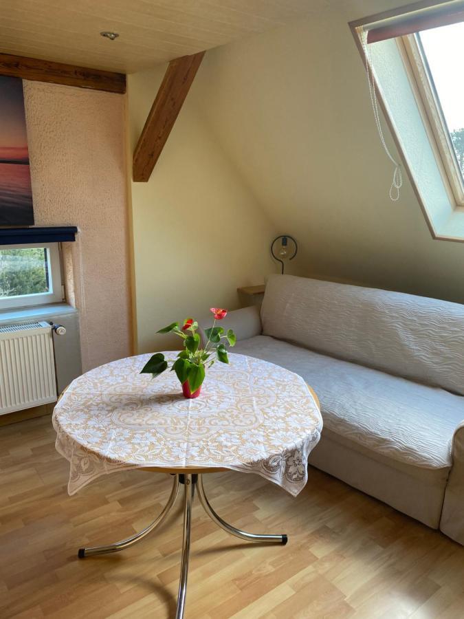 Helles Und Charmantes Loft Mit Herrlichem Blick Dresden Exterior foto